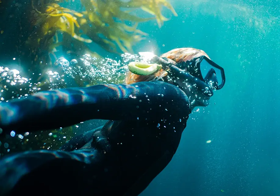 Ventura County Coast Underwater Photography