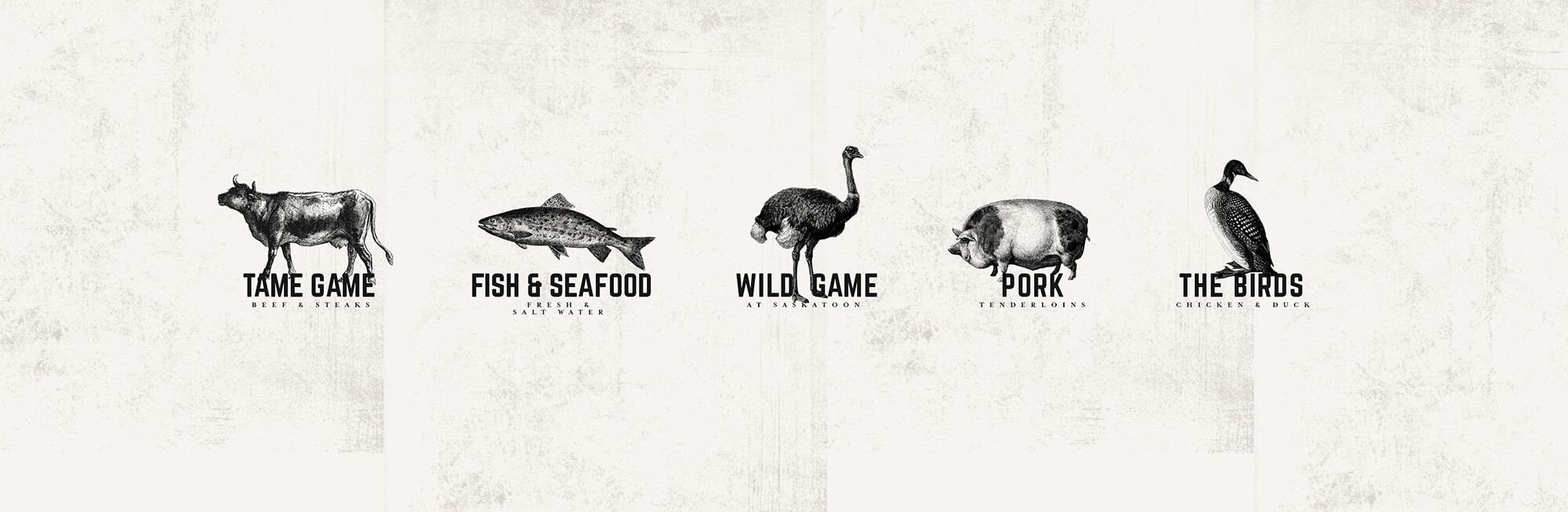 saskatoon branding icons work gallery