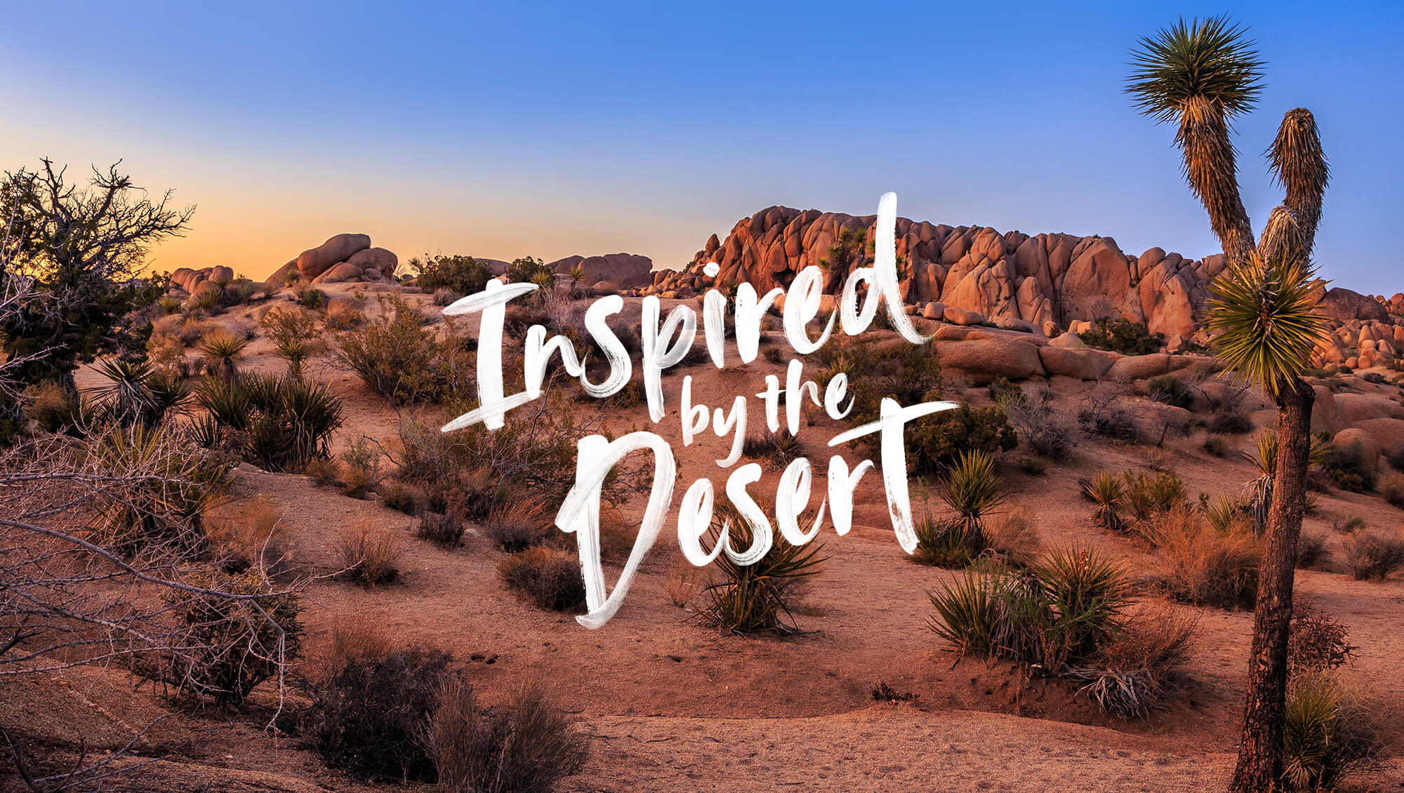 typography branding design