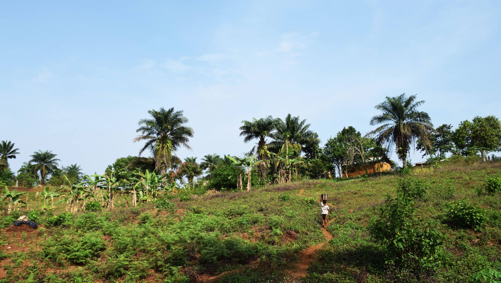 water of life branded design